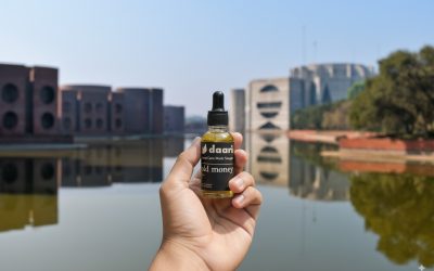 Blog 10 Ultimate Guide to Beard Oils in Bangladesh